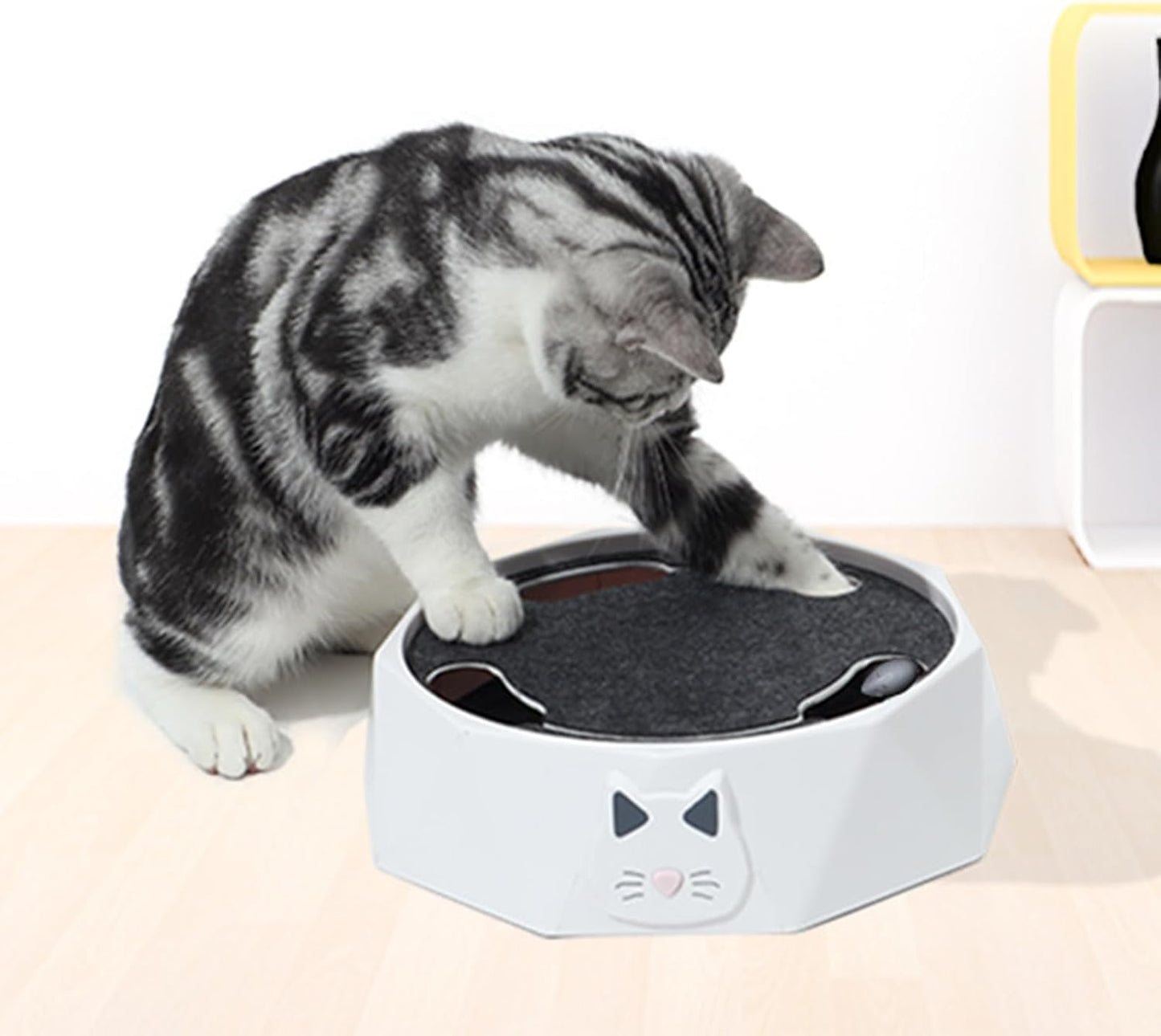 Interactive Cat Turntable Toy, Electric Cat Toys 2 Speed Adjustable Automatic Puzzle Catch Mouse Play Cat Toy for Pet Supplies