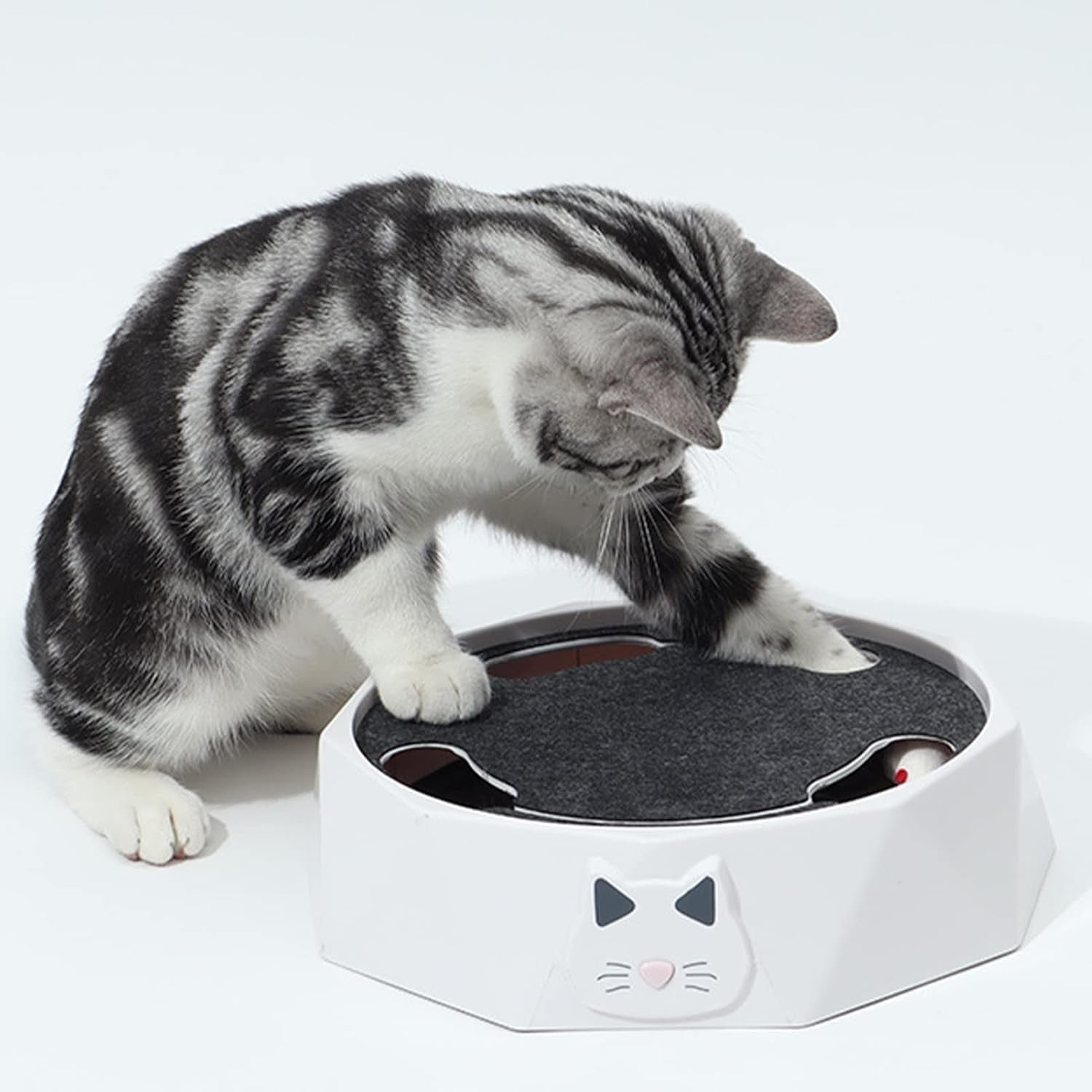Interactive Cat Turntable Toy, Electric Cat Toys 2 Speed Adjustable Automatic Puzzle Catch Mouse Play Cat Toy for Pet Supplies