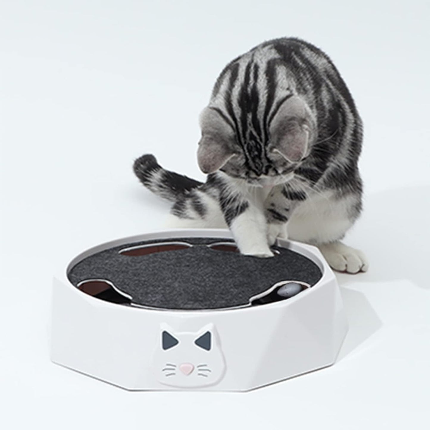 Interactive Cat Turntable Toy, Electric Cat Toys 2 Speed Adjustable Automatic Puzzle Catch Mouse Play Cat Toy for Pet Supplies
